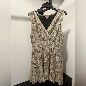 Black and Cream Lace Mini Dress